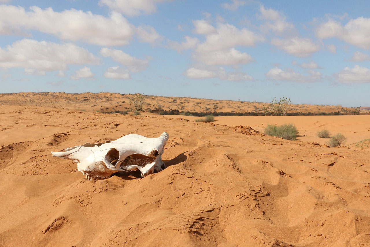 Migrants have to cross the Sahara desert in order to get to the Mediterranean Sea