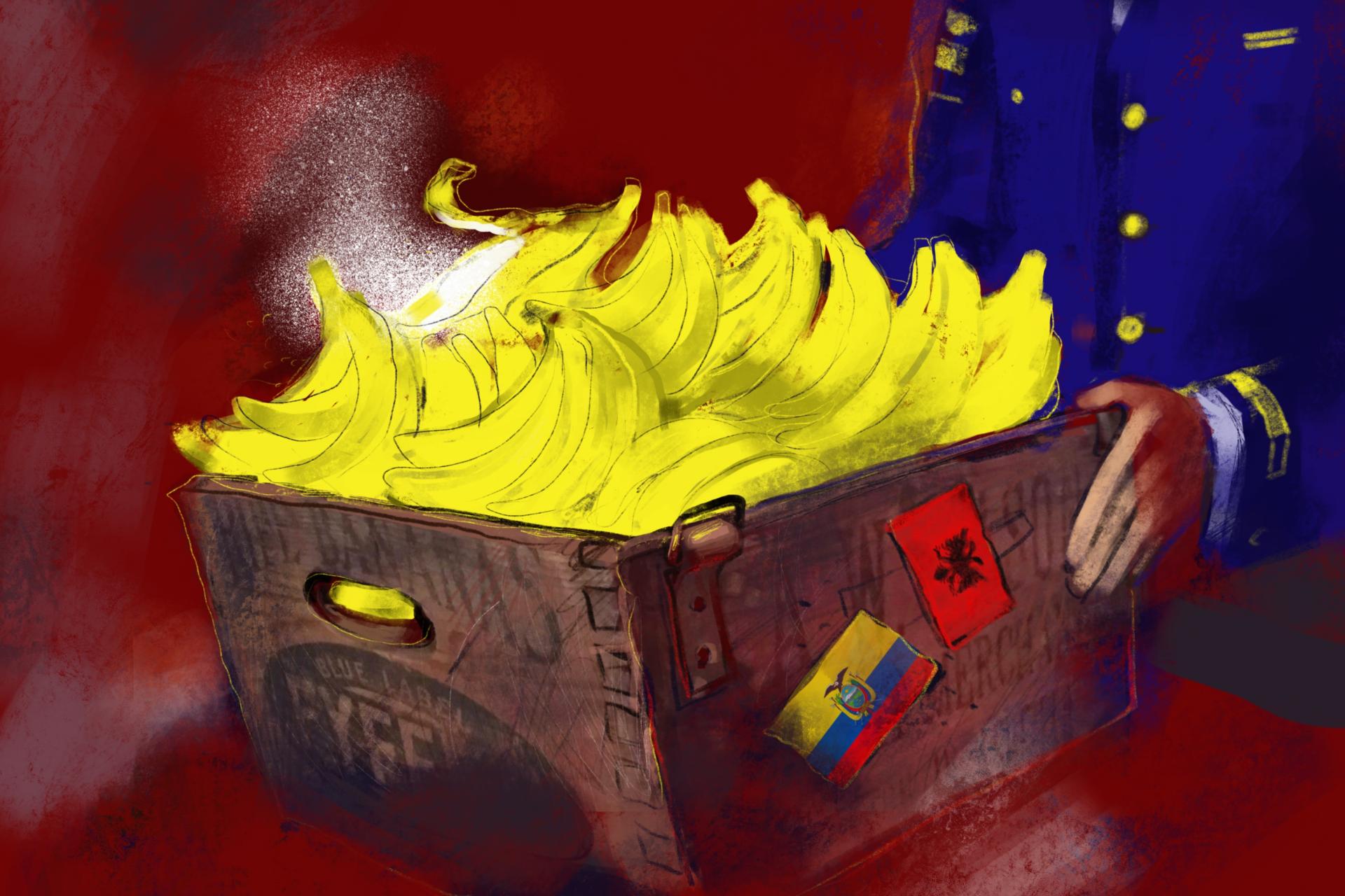 Albanian Drug Suspect S Banana Bonanza Occrp