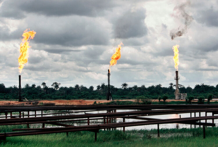 Three oil wells flaring, in the background a tropical forest, and in the foreground rusted pipes.