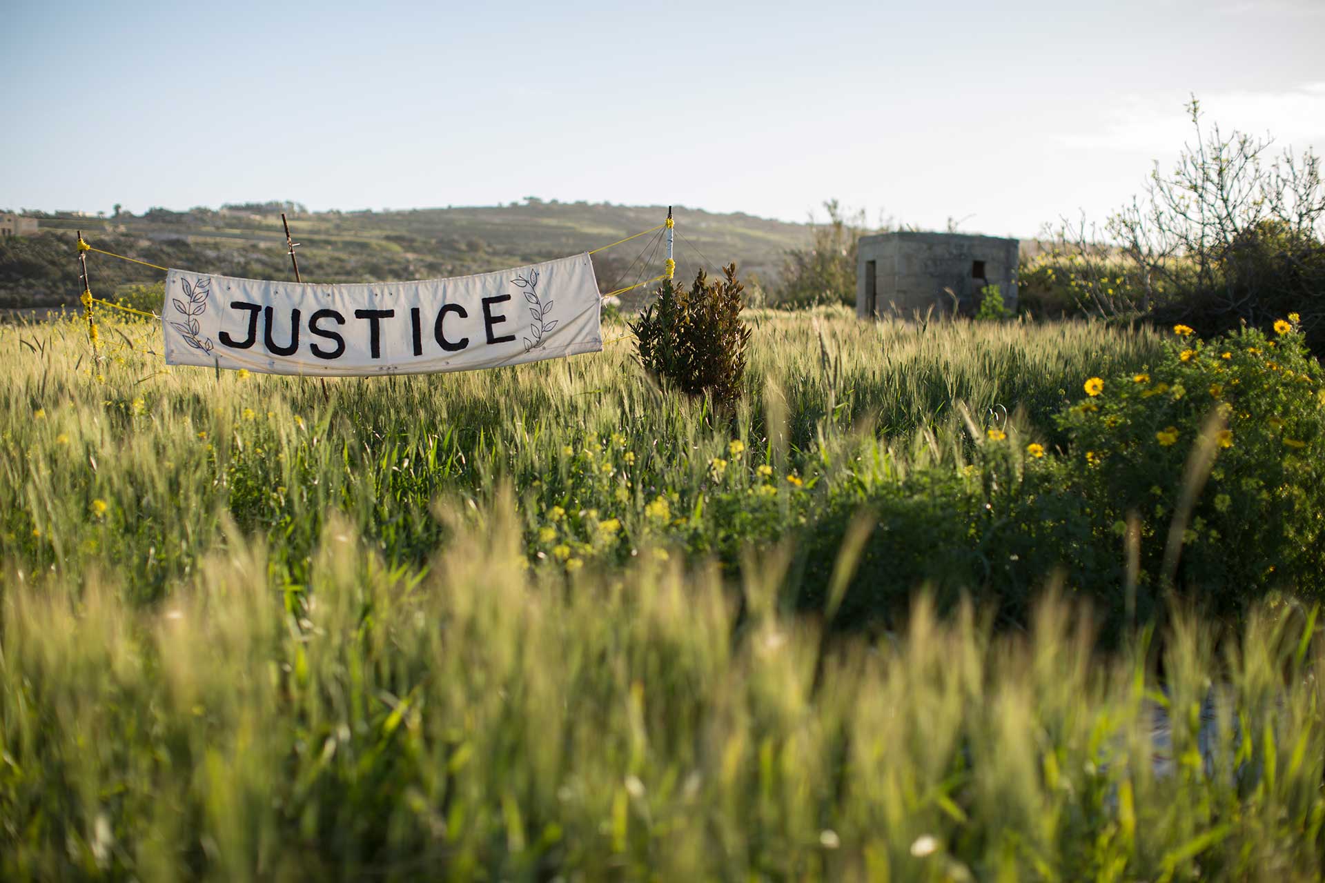 Public inquiry says Maltese State is 'responsible for Daphne Caruana  Galizia's death' - Tax Justice Network