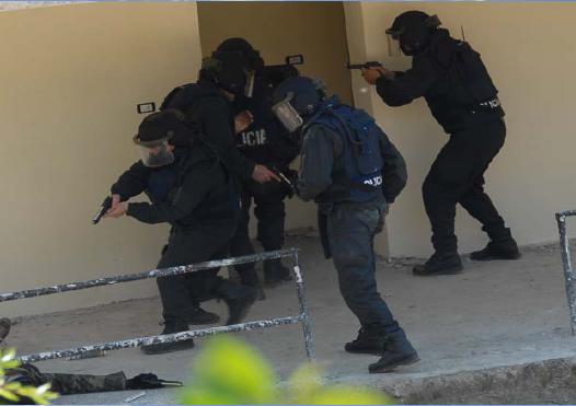Albania: Police Arrest Eight after Shootout in Marijuana Village