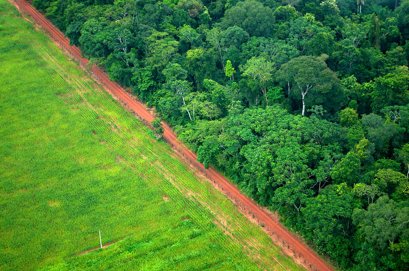 Report Links Deforestation in Brazil to 3 Central Banks