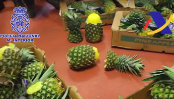 Spanish and Portuguese Police Find Cocaine in Pineapples