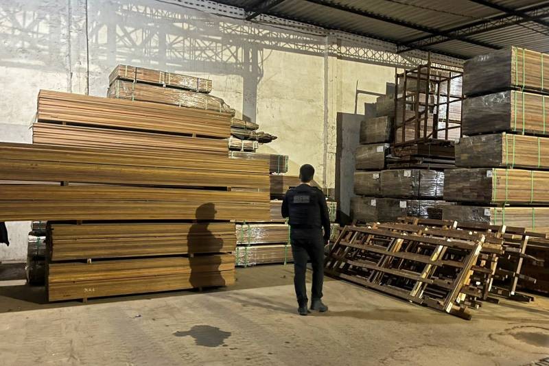 Brazil Illegal Timber